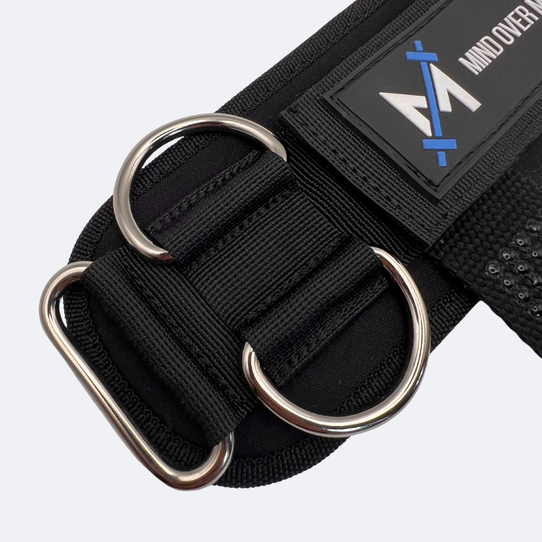 Multi-Purpose D-Ring Lifting Straps