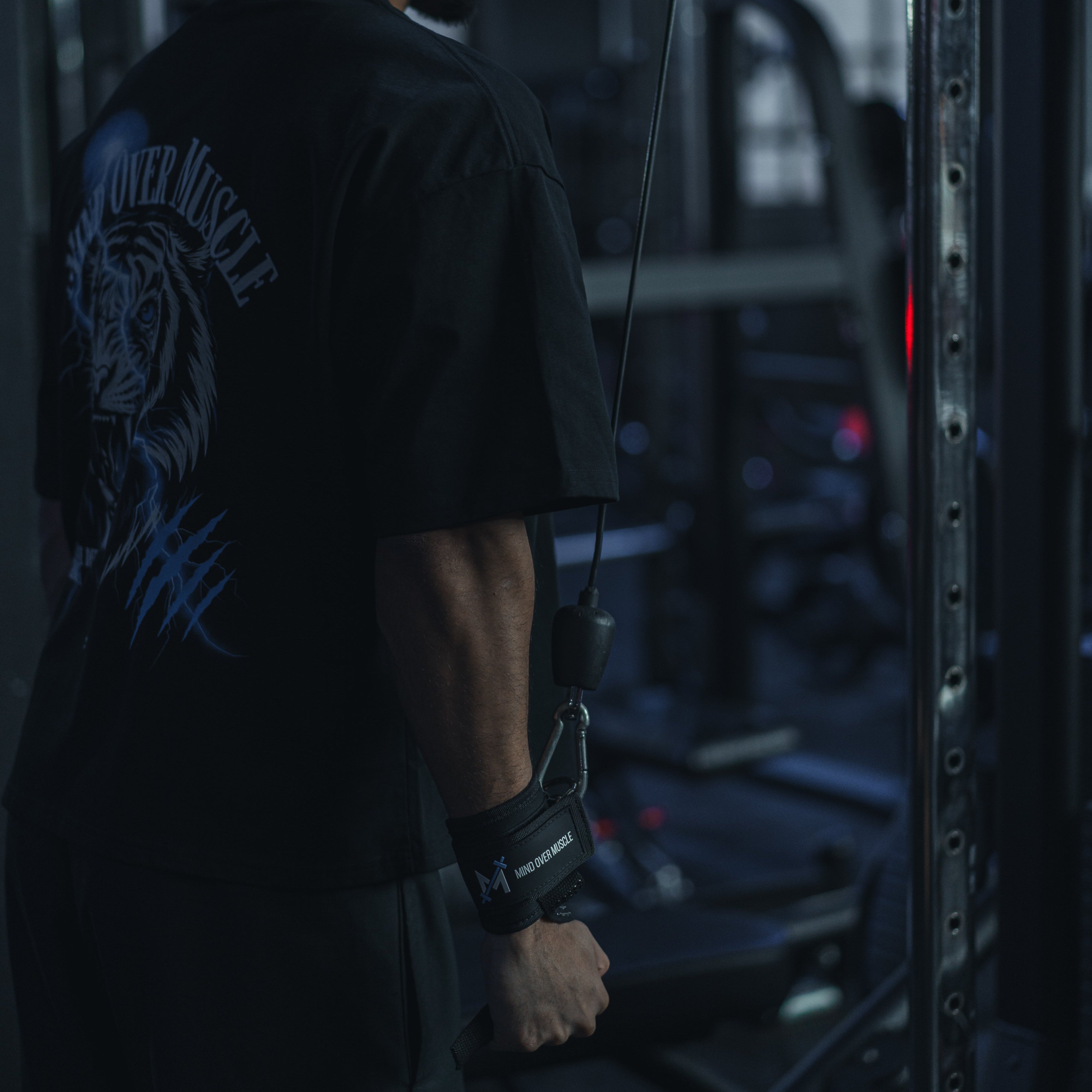 Multi-Purpose D-Ring Lifting Straps